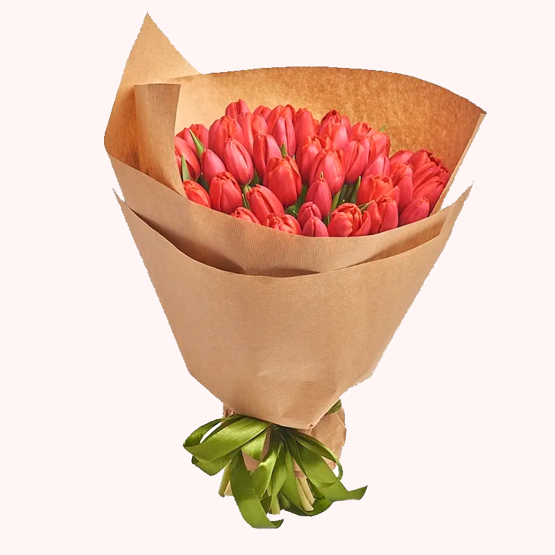 Букет из 101 красно-белого тюльпана