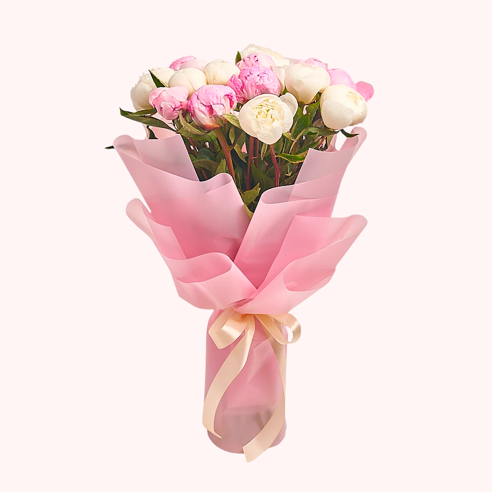 17 белых и розовых пионов