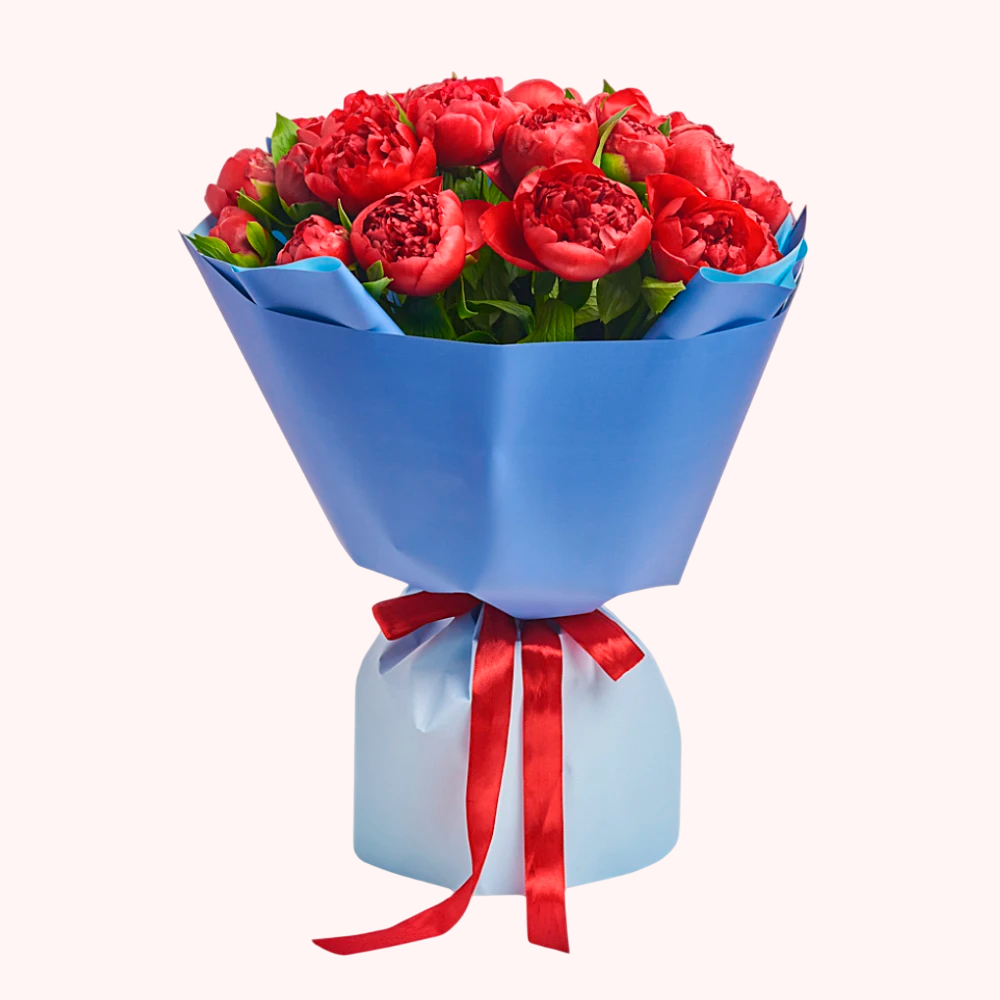 Букет из 21 бордового пиона